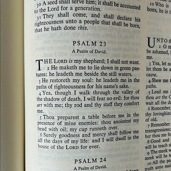 REMBRANDT Holy Bible — Family Bible – Ornate King James Version - HUGE - Picture 10 of 17